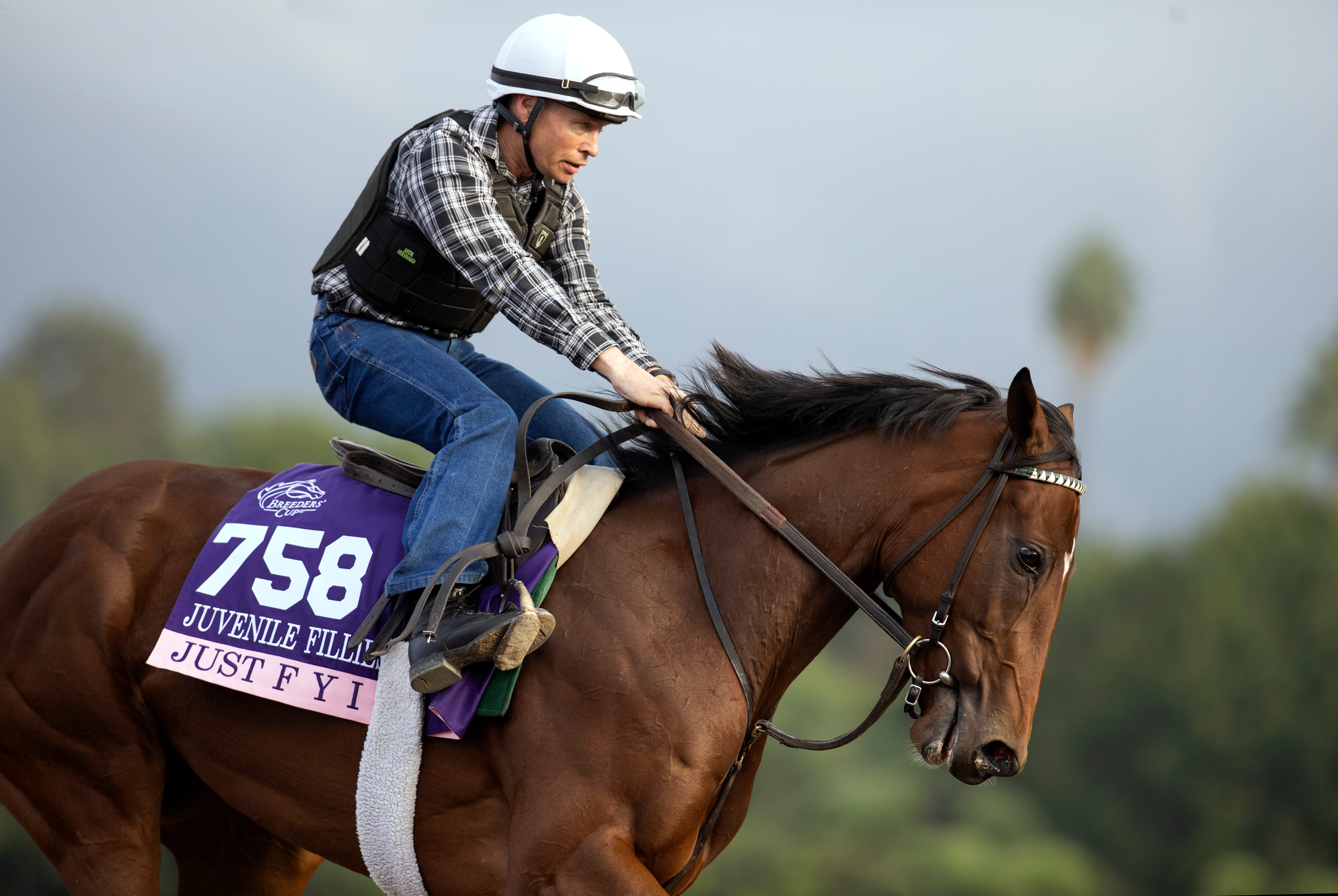 Keeneland Sales Continue To See Strong Demand   Just F Y I 01.10 26 23.BL  